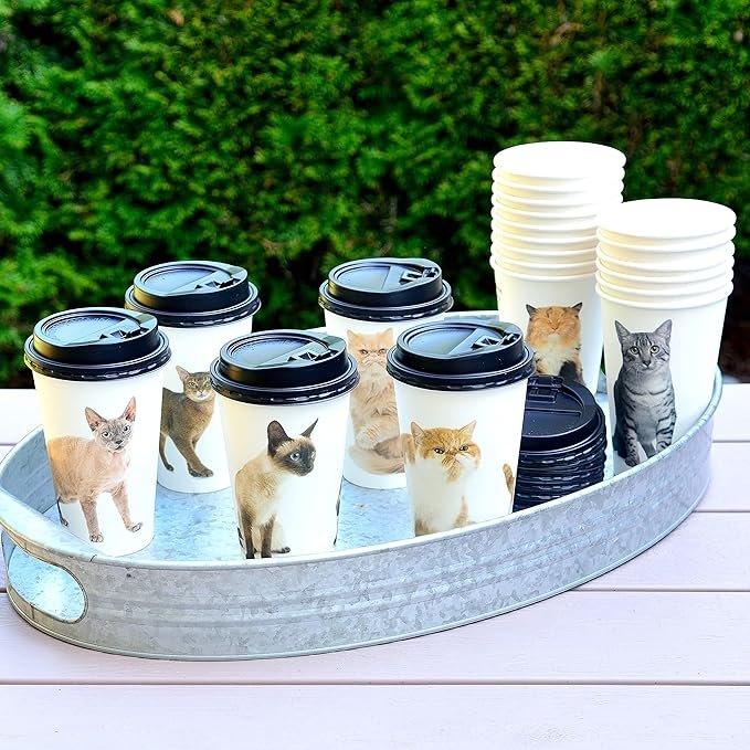 Disposable Coffee Cups with Lids - 120 Sets